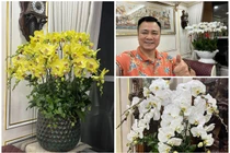 View - Tiết lộ vai diễn của NSND Tự Long trong phim Hộ linh tráng sĩ | Báo Tri thức và Cuộc sống - TIN TỨC PHỔ BIẾN KIẾN THỨC 24H