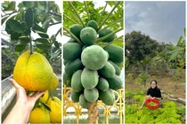 Vườn rau quả tốt um trong nhà Hoa hậu Đỗ Thị Hà