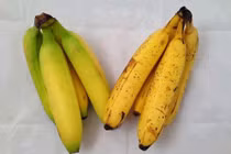 Tinh ý phân biệt 5 loại quả bán đầy chợ dễ bị ngâm ủ hóa chất