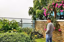 Bên trong biệt thự rợp bóng cây xanh của Nathan Lee