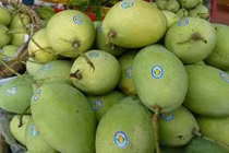 6 loại trái cây Việt được vào thị trường Mỹ "khó tính"