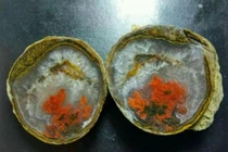 Bổ đôi viên đá nhặt được trên núi, bà nội trợ lập tức hoa mắt vì...