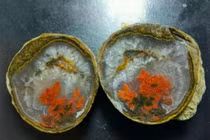 Bổ đôi viên đá nhặt được trên núi, bà nội trợ lập tức hoa mắt vì...