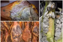 3 đặc sản mốc meo được nhà giàu “vung tiền” lùng mua