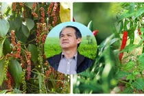 Thêm nghề tay trái hái ra tiền của bầu Đức