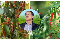 Thêm nghề tay trái hái ra tiền của bầu Đức