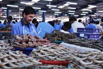 Bên trong chợ hải sản vừa tươi vừa rẻ ở nước nhà giàu Dubai 