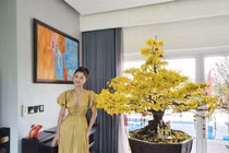 Lóa mắt xem biệt thự mới xa hoa của Vũ Thu Phương và chồng đại gia