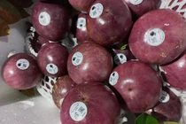 Tận mục loại quả Việt Nam độc quyền xuất khẩu trên thế giới