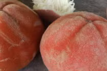 Việt Nam có loại quả lạ như kết hợp giữa đào, hồng và vú sữa