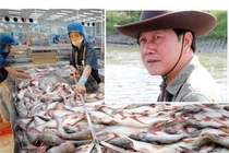 Nợ ngập đầu, “vua cá tra” Hùng Vương bán tiếp công ty con