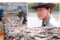 Nợ ngập đầu, “vua cá tra” Hùng Vương bán tiếp công ty con