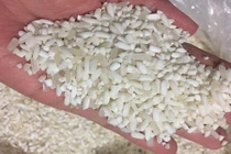 Cận cảnh gạo nếp Lào hút khách Việt dịp Tết 2018
