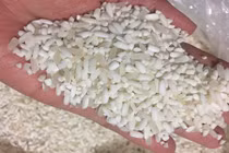 Cận cảnh gạo nếp Lào hút khách Việt dịp Tết 2018