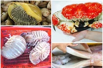 Bóc giá loạt hải sản khổng lồ gây sốt thị trường Việt đầu năm 2021