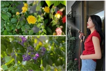 Khu vườn xanh mướt trong căn hộ của Hoa hậu Kỳ Duyên