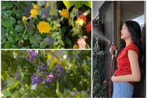 Khu vườn xanh mướt trong căn hộ của Hoa hậu Kỳ Duyên