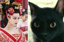 Võ Tắc Thiên rất sợ mèo: Lý do đằng sau là gì? 