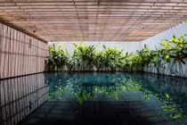 Biệt thự Sài Gòn phủ kín cây xanh giành giải kiến trúc quốc tế