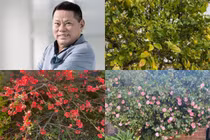 Mê mẩn vườn hoa rực rỡ trong biệt thự của tỷ phú Hoàng Kiều