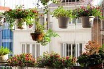 Ban công đặt 4 vật tán lộc: Gia chủ càng ngày càng khánh kiệt, tiền tài đội nón ra đi