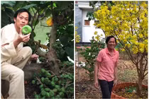 Mướt mắt vườn cây sai trĩu quả trong nhà thờ Tổ của Hoài Linh