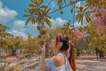 Choáng ngợp khu vườn rộng 20.000m2 của ca sĩ Minh Hằng tại Đồng Nai