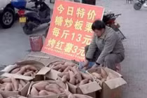 Mua 2 căn nhà tiền tỷ nhờ bán thứ này, dân mạng tò mò mẹo làm giàu