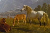 Từ 2023-2025: 4 tuổi được Ngọc Hoàng chấm bảng vàng kiếm được nhiều tiền