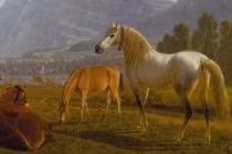 Từ 2023-2025: 4 tuổi được Ngọc Hoàng chấm bảng vàng kiếm được nhiều tiền