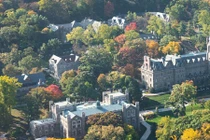 Không ưa bạn, sinh viên chuyên Hóa âm thầm đầu độc bạn bằng thallium