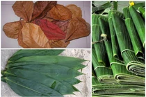 Xưa không ai ngó, những loại lá này giờ đem bán "hái ra tiền"