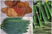 Xưa không ai ngó, những loại lá này giờ đem bán "hái ra tiền"