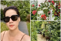 Cận cảnh khu vườn ngập hoa lá đẹp mộng mơ của Thân Thúy Hà