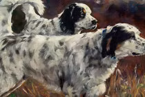 Từ tháng 1/2022: 3 con giáp rũ sạch vận đen, ngửa tay đón tài lộc