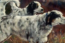 Từ tháng 1/2022: 3 con giáp rũ sạch vận đen, ngửa tay đón tài lộc