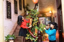 Muôn kiểu khoác áo mới cho cầu thang ngày Tết