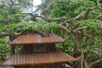 Kiệt tác sanh “Phố cổ Hà Nội” giá tỷ đồng chưa bán đẹp cỡ nào?