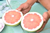 Bưởi lạ 300.000/quả sốt miền Tây: Giá chát nhưng chưa được phép bán?