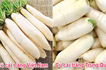 Củ cải trắng rớt giá thảm: Cách phá tan nghi ngờ "cứ to là hàngTQ"