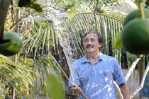 Mãn nhãn vườn đẹp như chốn thiên đường của sao Việt