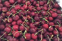 Ngỡ ngàng cherry Mỹ giá 200.000 đồng/kg ở siêu thị 