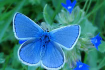 Sinh tháng Âm lịch này khổ trước sướng sau, nỗ lực không uổng phí