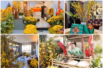 Nhà ngập hoa, cây cảnh như chợ xuân của các Hoa hậu Việt