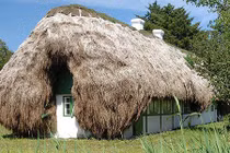 Độc đáo ngôi nhà lợp 32 tấn rong biển