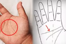 5 tướng bàn tay của người nghèo, không giữ được tiền, làm bao nhiêu cũng rơi