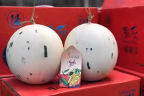 Dưa sữa Nhật nửa triệu/quả, đắt khách ngày nắng nóng 