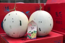 Dưa sữa Nhật nửa triệu/quả, đắt khách ngày nắng nóng 