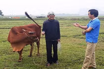 Vụ thu phí trâu bò ở Thanh Hóa: Sẽ xin lỗi dân và trả lại tiền