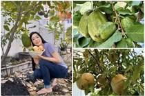 Vườn cây trái lúc lỉu trong biệt thự 200m2 của NSND Trịnh Kim Chi